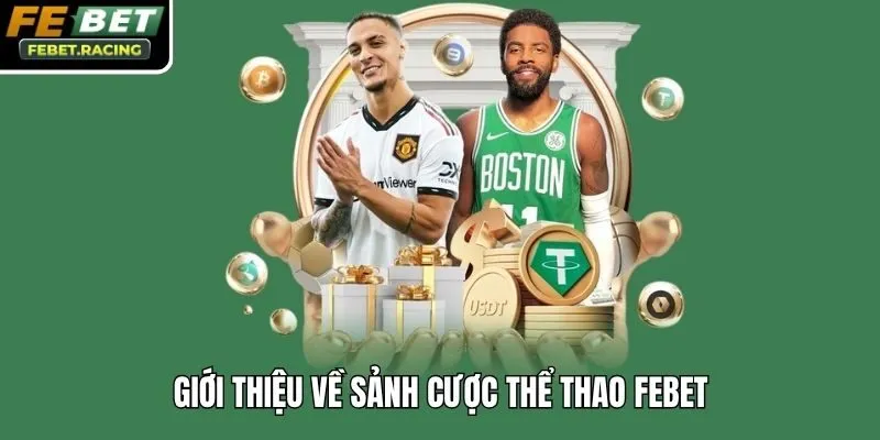 Giới thiệu về sảnh cược thể thao Febet