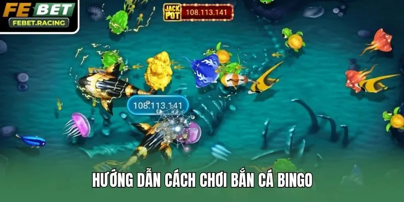 Hướng dẫn cách chơi bắn cá bingo